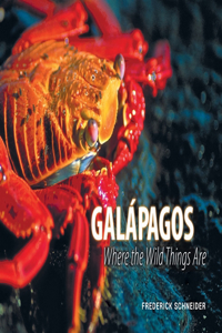 Galápagos