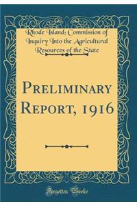 Preliminary Report, 1916 (Classic Reprint)