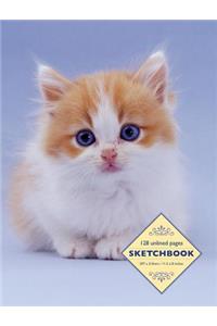 Sketchbook: Kitten