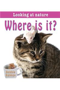Where is It?