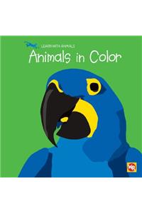 Animals in Color