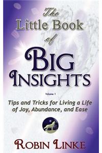 The Little Book of BIG Insights Volume I