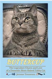 Buttercup - The Legendary Charm and Love of a Domestic Short-Haired Tabby Cat