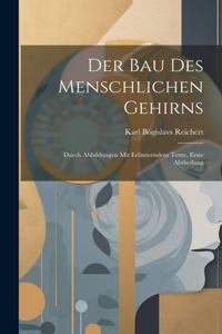 Bau Des Menschlichen Gehirns