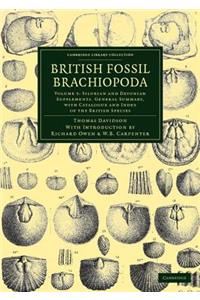 British Fossil Brachiopoda