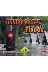 Inundaciones/Floods
