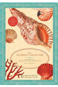 The Seashell Collector