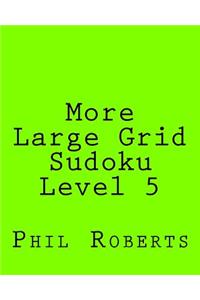 More Large Grid Sudoku Level 5