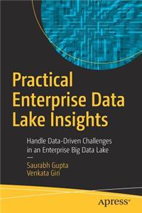 Practical Enterprise Data Lake Insights