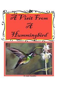 A Visit From A Hummingbird