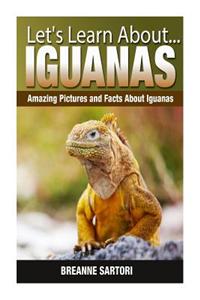 Iguanas