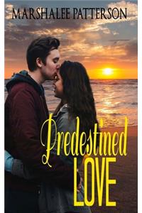 Predestined Love