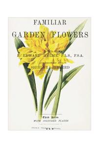 Familiar Garden Flowers