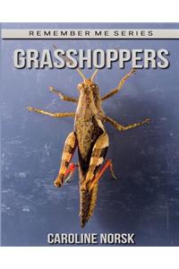 Grasshoppers