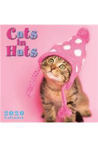 2020 Cats in Hats Mini Calendar
