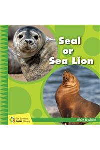Seal or Sea Lion
