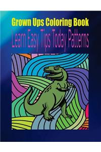 Grown Ups Coloring Book Learn Easy Tips Today Patterns Mandalas
