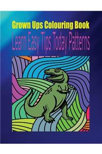 Grown Ups Colouring Book Learn Easy Tips Today Patterns Mandalas
