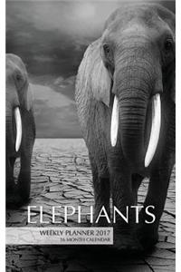 Elephants Weekly Planner 2017