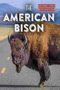 American Bison