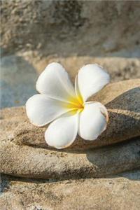 Budhha Palm Flower Journal