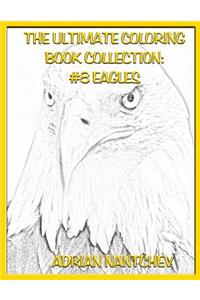 The Ultimate Coloring Book Collection #8 Eagles
