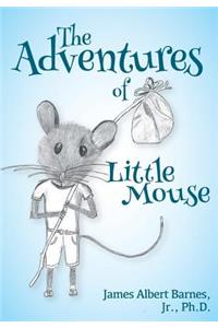 Adventures of Little Mouse