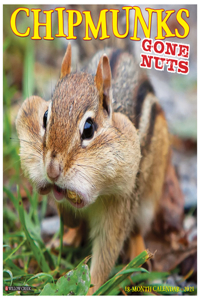 Chipmunks (Gone Nuts!) 2021 Wall Calendar