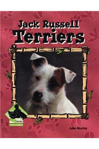 Jack Russell Terriers
