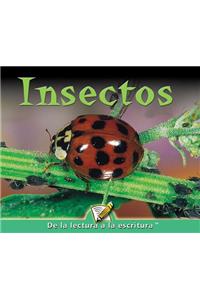 Insectos