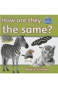 How Are They the Same?