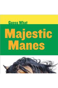 Majestic Manes