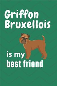 Griffon Bruxellois is my best friend
