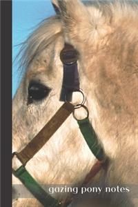 gazing pony notes