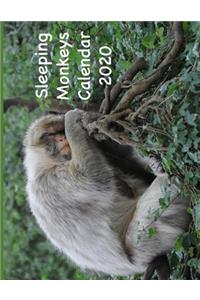 Sleeping Monkeys Calendar 2020