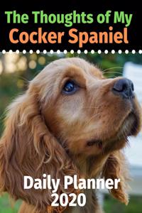 The Thoughts of My Cocker Spaniel