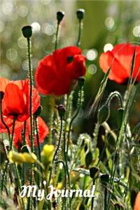 My Journal