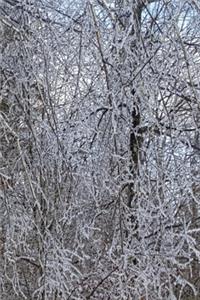 2020 Weekly Planner Winter Scenic Forest Ice Storm 134 Pages