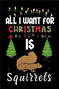 All I Want For Christmas Is Squirrels