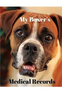 My Boxer's Medical Records