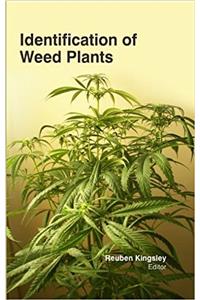 Identification of Weed Plants