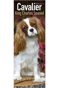 Cavalier King Charles Slim Calendar 2018 (Slim Standard)