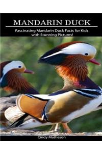 Mandarin Duck: Fascinating Mandarin Duck Facts for Kids with Stunning Pictures!