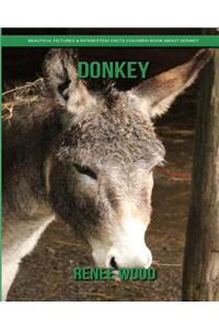 Donkey