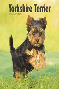 Yorkshire Terrier Puppies Mini Square Wall Calendar 2023