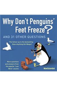 Why Don't Penguins' Feet Freeze?