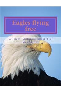 Eagles flying free