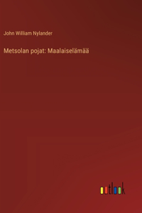Metsolan pojat