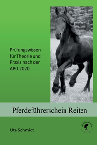 Pferdeführerschein Reiten