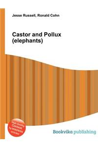Castor and Pollux (Elephants)